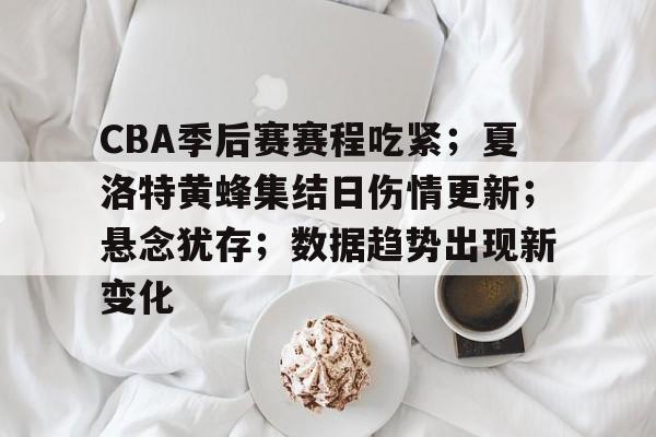 CBA季后赛赛程吃紧；夏洛特黄蜂集结日伤情更新；悬念犹存；数据趋势出现新变化
